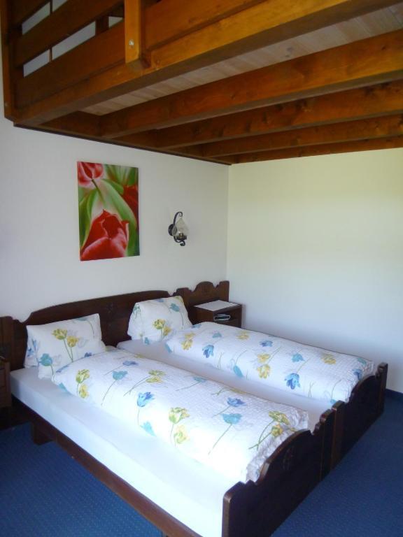 Hotel Bahnhof Giswil Cameră foto